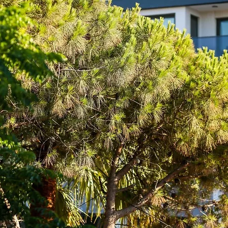 Apartman Krem Marin Çeşme